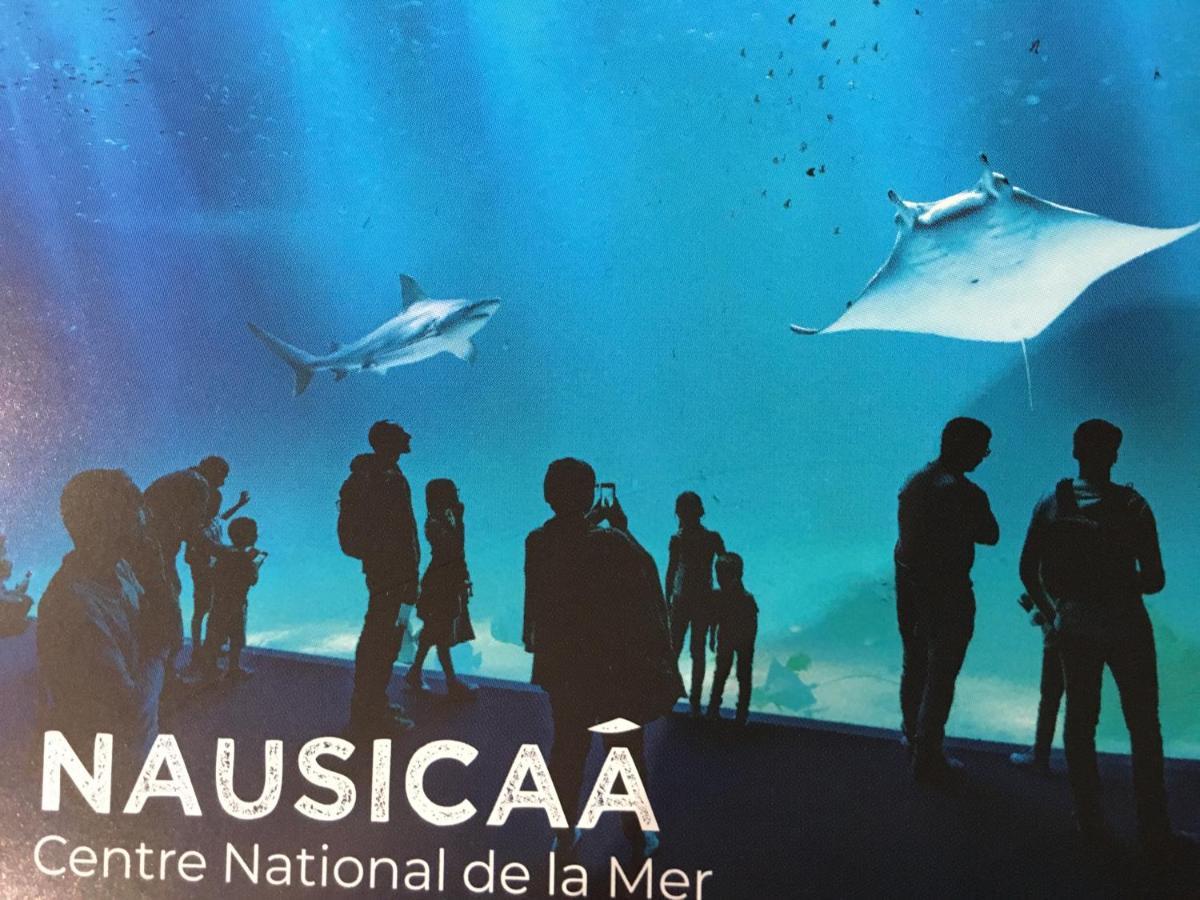 Studio " Escale En Bord De Mer " Wimereux Bagian luar foto